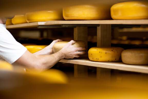 a cheesemonger placing a round of cheese on a shalf 